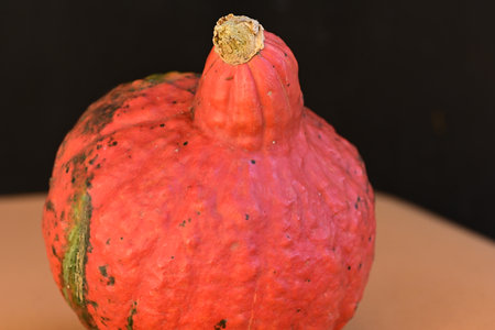 pumpkin on a black background, close-up, macroの写真素材