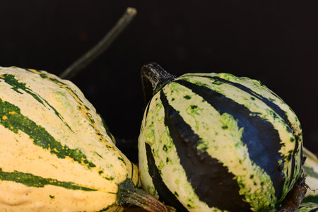 Colorful gourds on a black background. Autumn harvest.の写真素材