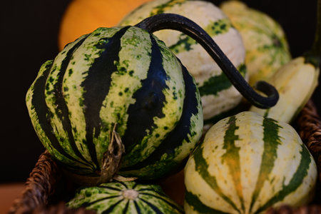 Colorful decorative pumpkins in a basket on a wooden table.の写真素材