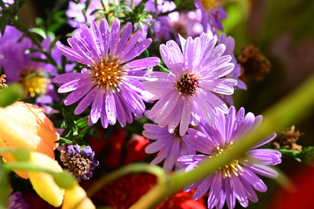 Bouquet of flowers in a flower shop. Close-upの写真素材