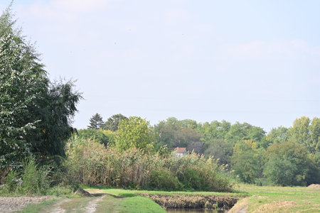 Rural landscape with a river and a village in the background.の写真素材