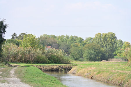 River in the countryside in summer. Landscape with river and trees.の写真素材