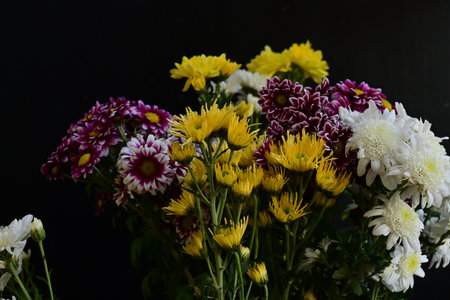 Bouquet of chrysanthemums on a black backgroundの写真素材