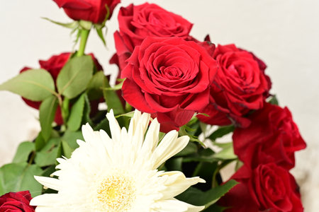 Beautiful bouquet of red roses and gerbera on white backgroundの写真素材