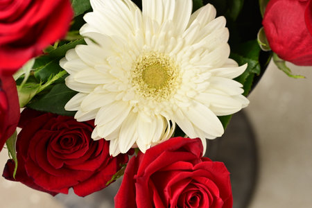 Bouquet of red roses and white gerbera close upの写真素材