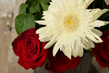 Bouquet of red roses and white gerbera close upの写真素材