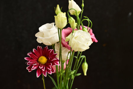 bouquet of eustoma and chrysanthemumの写真素材
