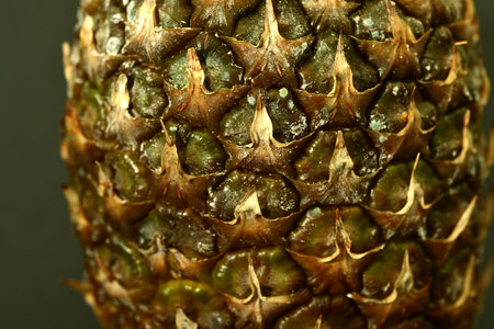 Pineapple close-up. Macro photography of an exotic fruit.の写真素材
