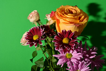 Bouquet of colorful flowers on a green background. Studio photography.の写真素材