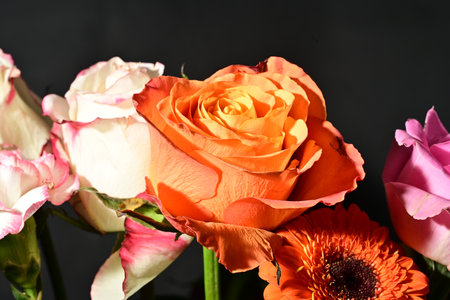 beautiful bouquet of roses and gerberas on black background