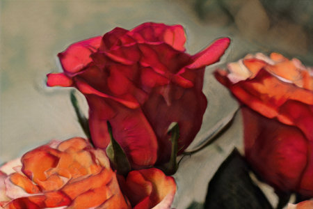 Close up of red roses in a vase on the table.の写真素材