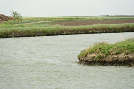 View of the river, the shore and the green grass in the foregroundの写真素材