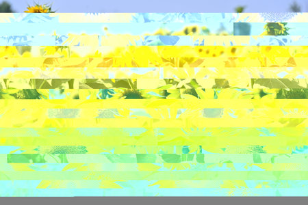 Seamless background pattern.の写真素材