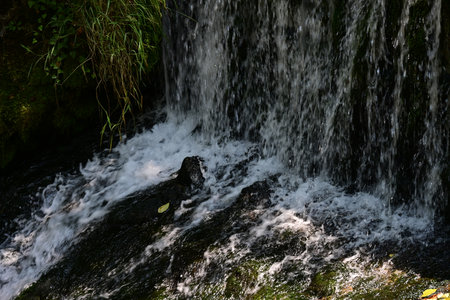 Waterfall in the forest, close-up of waterfall in nature