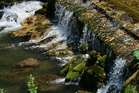 Small waterfall in the forest. Waterfall in the forest. Nature background