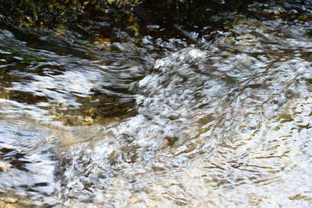 Streaming water in a small river, close-up of photo