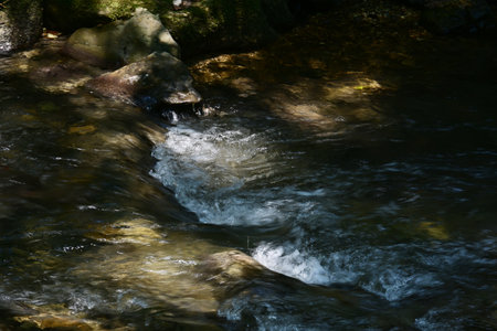 waterfall in the forest, close-up of photo with shallow depth of field