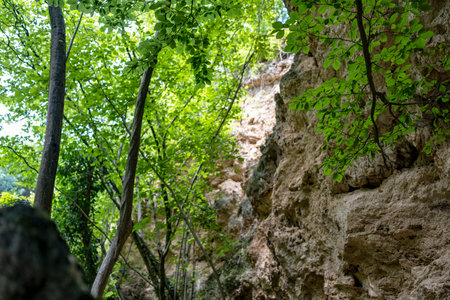 Mountain landscape with rocks and green forest. View from below.の写真素材