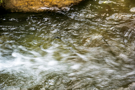 Water flowing over rocks in a small river, closeup of photoの写真素材
