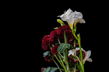 Bouquet of white and red flowers on a black background.
