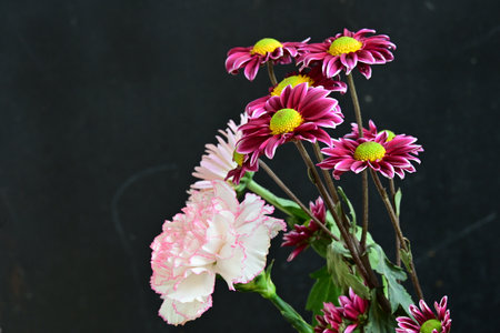 Flowers on blackboard background, stock photoの写真素材