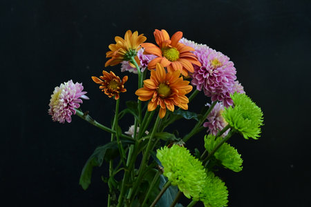 colorful chrysanthemum flower bouquet on black background