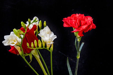 Bouquet of white and red carnation flowers on black backgroundの写真素材