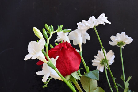 Bouquet of white and red flowers on a black background.の写真素材