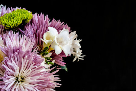 Bouquet of colorful chrysanthemums on black backgroundの写真素材