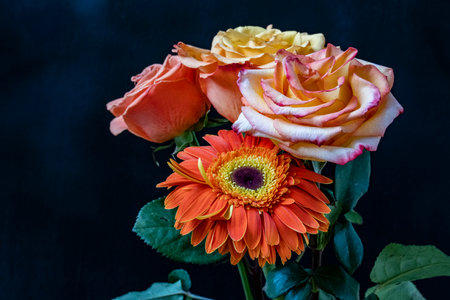 Bouquet of orange roses and gerberas on black backgroundの写真素材