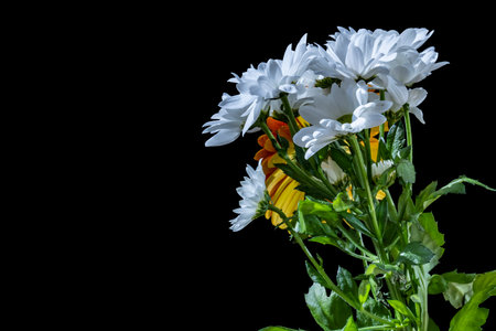 Bouquet of flowers on a black backgroundの写真素材