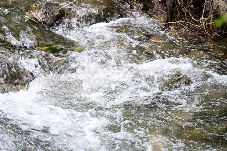 Waterfall in the forest. Mountain river with a rapid flow.