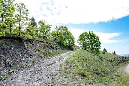 Dirt road on the hillside in the mountains, Ukraine.の写真素材