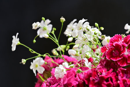 Beautiful bouquet of red and white flowers on a black background