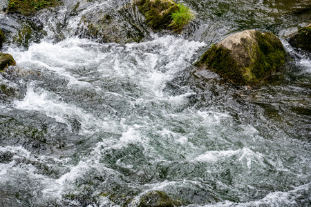 Streaming water in a mountain river. Spring landscape. Mountain river.