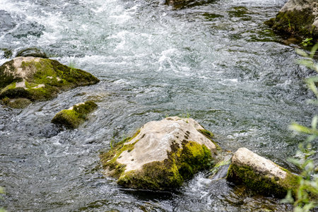 Mountain river with fast flowing water and rocks covered with green moss