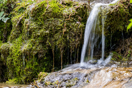 Waterfall in the forest. Beautiful waterfall in the forest. Waterfall in the forest.