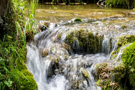 Small waterfall in the forest. Water stream in the forest. Waterfall in the forest.