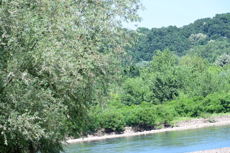 River landscape, river and trees on the banks of the river.の写真素材