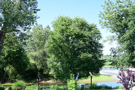 summer landscape with a river and trees on a background of blue skyの写真素材