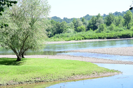 river landscape with trees and grass on the bank of a small riverの写真素材