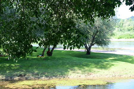 Green grass and trees on the bank of the river in the summerの写真素材