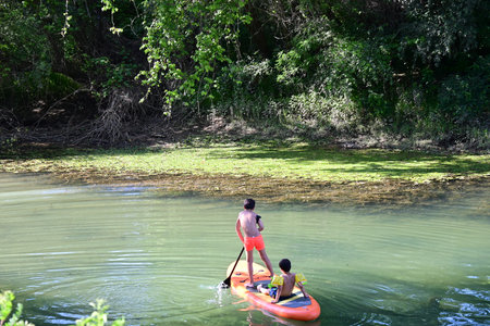 Two young men are kayaking on a river in the forest.の写真素材