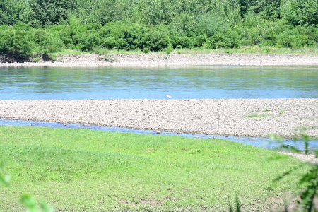 River landscape with a green meadow, trees and blue sky.の写真素材