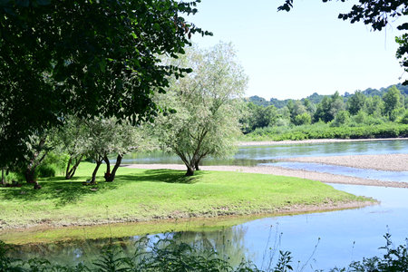 Landscape with river and trees on a sunny day in summer.の写真素材