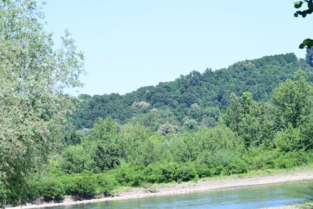River and forest on the banks of the Dniester Riverの写真素材