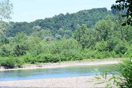 River landscape. River in the forest on a sunny summer day.の写真素材