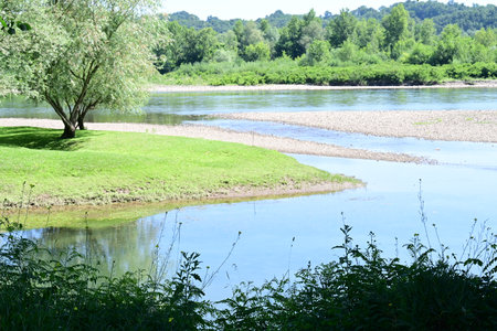 River landscape with trees and green grass on a sunny summer day.の写真素材