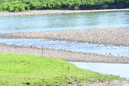 River landscape with rocks, grass and trees in a sunny summer dayの写真素材