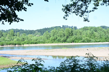 River in the middle of the forest on a sunny summer day.の写真素材